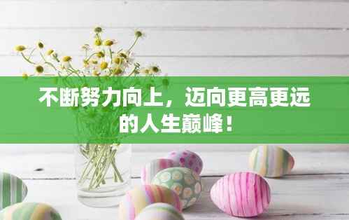 不断努力向上，迈向更高更远的人生巅峰！