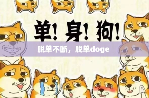 脱单不断,脱单doge