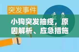 百鸟归巢 第4页