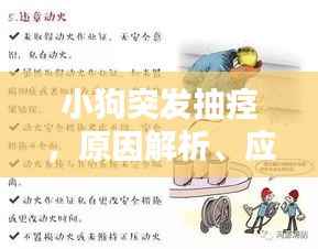 小狗突发抽痉,原因解析、应急措施与预防策略