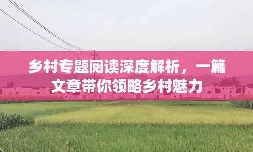 乡村专题阅读深度解析，一篇文章带你领略乡村魅力