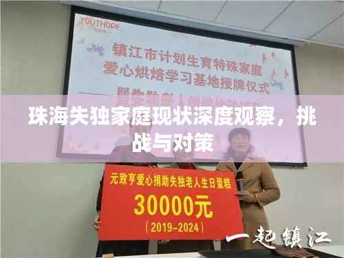 珠海失独家庭现状深度观察,挑战与对策