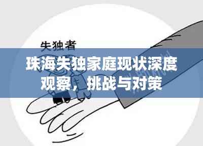 珠海失独家庭现状深度观察,挑战与对策