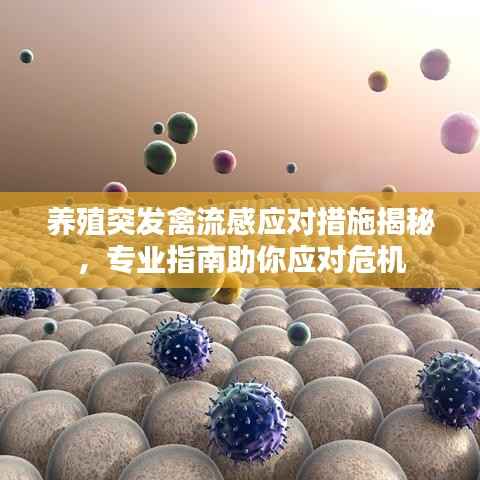 养殖突发禽流感应对措施揭秘，专业指南助你应对危机