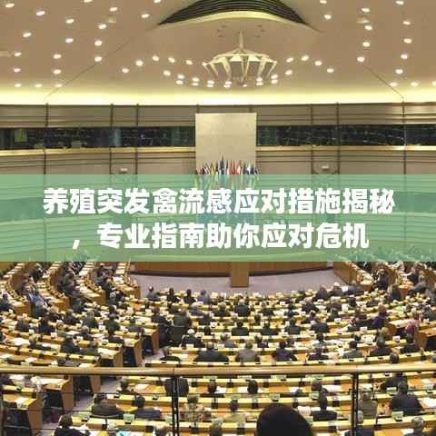 养殖突发禽流感应对措施揭秘,专业指南助你应对危机