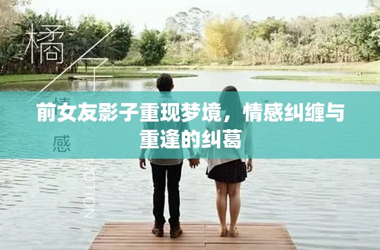 前女友影子重现梦境，情感纠缠与重逢的纠葛