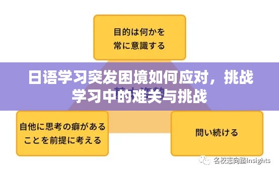 日语学习突发困境如何应对，挑战学习中的难关与挑战