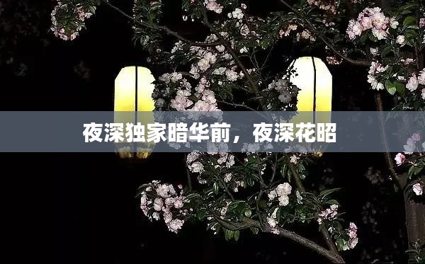 夜深独家暗华前，夜深花昭 