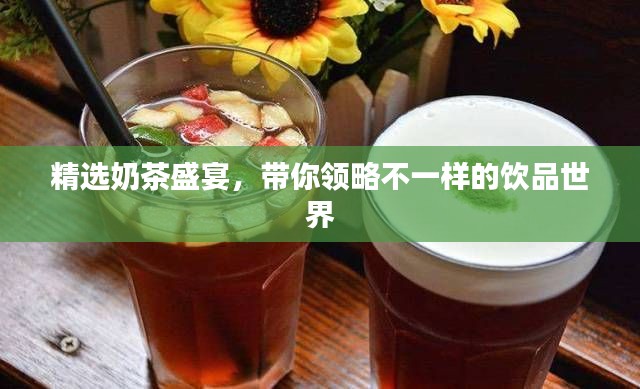 精选奶茶盛宴，带你领略不一样的饮品世界