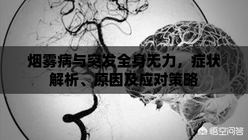 烟雾病与突发全身无力，症状解析、原因及应对策略