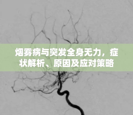 烟雾病与突发全身无力,症状解析、原因及应对策略