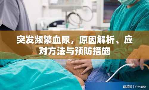 突发频繁血尿,原因解析、应对方法与预防措施