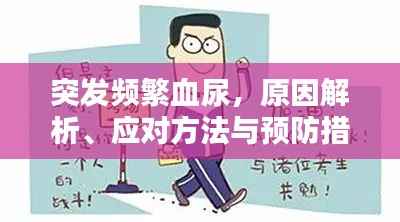 突发频繁血尿,原因解析、应对方法与预防措施