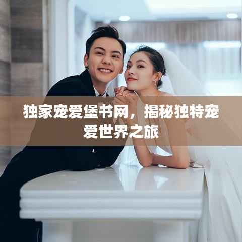 独家宠爱堡书网，揭秘独特宠爱世界之旅