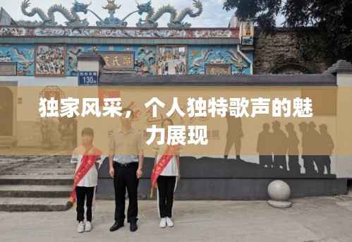 独家风采,个人独特歌声的魅力展现