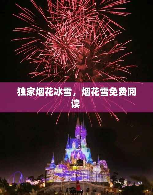 独家烟花冰雪，烟花雪免费阅读 