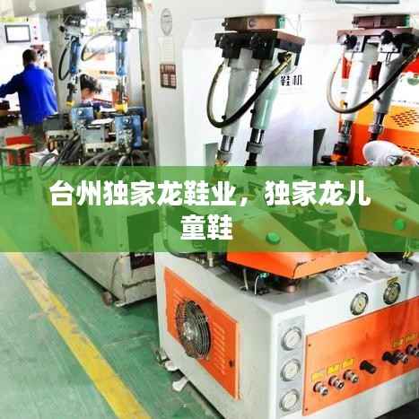 台州独家龙鞋业,独家龙儿童鞋