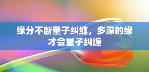 缘分不断量子纠缠，多深的缘 才会量子纠缠 