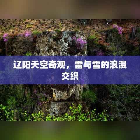 辽阳天空奇观,雷与雪的浪漫交织