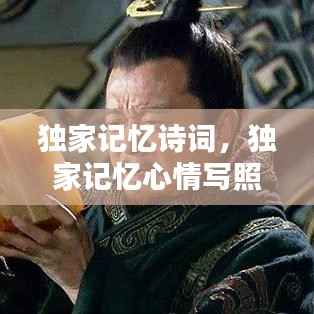 独家记忆诗词，独家记忆心情写照说说 