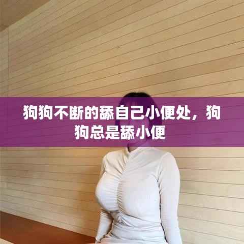 狗狗不断的舔自己小便处，狗狗总是舔小便 