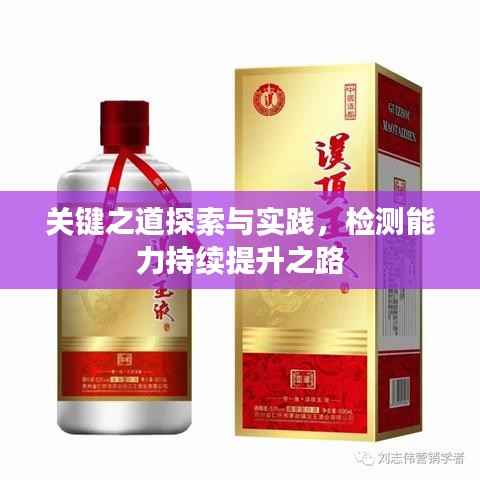 关键之道探索与实践，检测能力持续提升之路