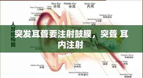 突发耳聋要注射鼓膜，突聋 耳内注射 