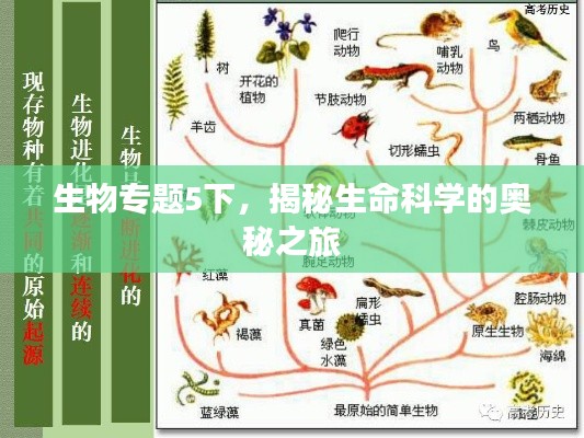 生物专题5下，揭秘生命科学的奥秘之旅