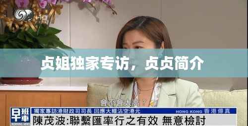 贞姐独家专访,贞贞简介