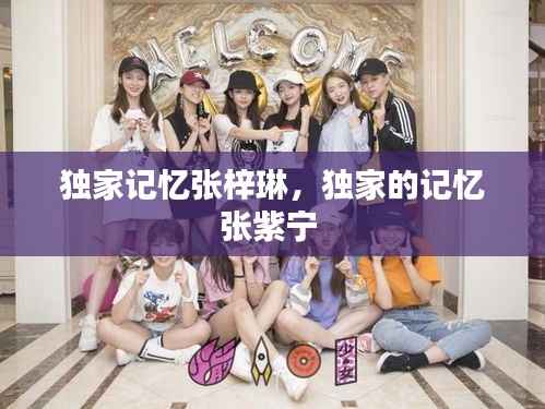 独家记忆张梓琳,独家的记忆张紫宁