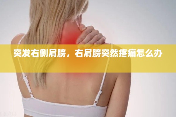 突发右侧肩膀,右肩膀突然疼痛怎么办