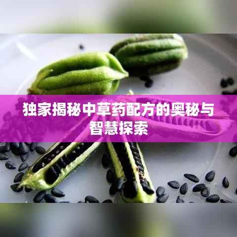 独家揭秘中草药配方的奥秘与智慧探索