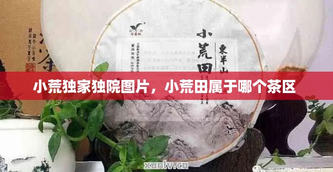 小荒独家独院图片,小荒田属于哪个茶区
