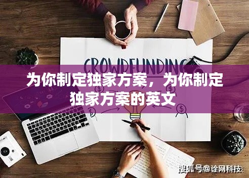 为你制定独家方案，为你制定独家方案的英文 