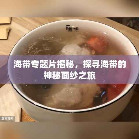 海带专题片揭秘,探寻海带的神秘面纱之旅