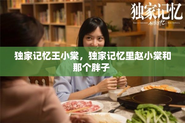 独家记忆王小棠，独家记忆里赵小棠和那个胖子 