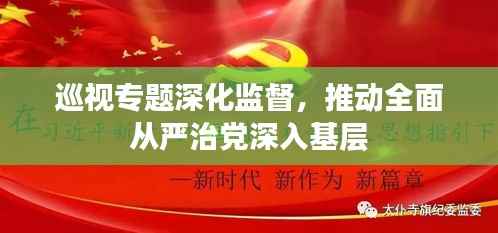 巡视专题深化监督，推动全面从严治党深入基层