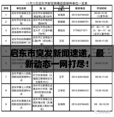 启东市突发新闻速递，最新动态一网打尽！
