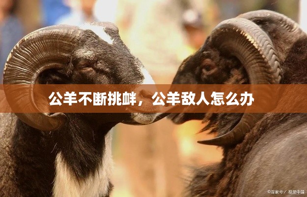 读书三到 第5页