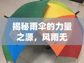 揭秘雨伞的力量之源,风雨无阻的秘密揭秘!