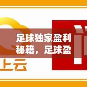 足球独家盈利秘籍，足球盈利计划 