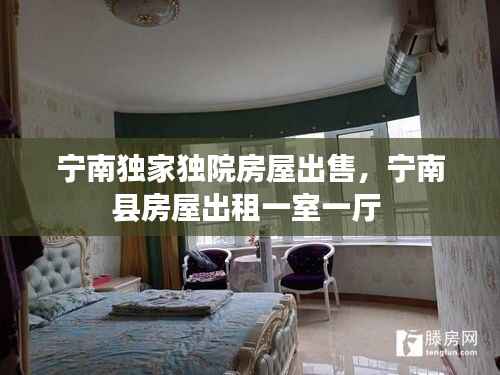 宁南独家独院房屋出售，宁南县房屋出租一室一厅 