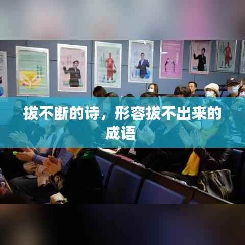 拔不断的诗，形容拔不出来的成语 