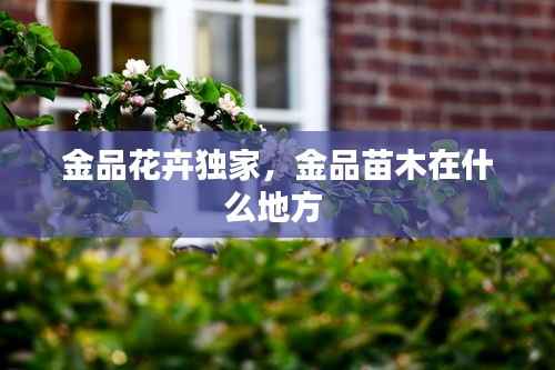 正襟危坐 第5页