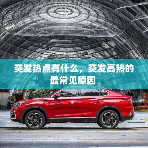 突发热点有什么,突发高热的最常见原因