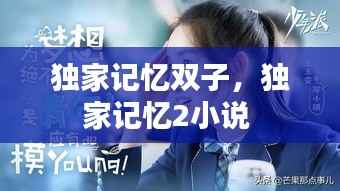 独家记忆双子，独家记忆2小说 