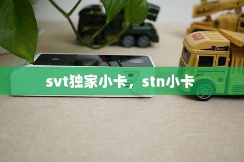 svt独家小卡，stn小卡 