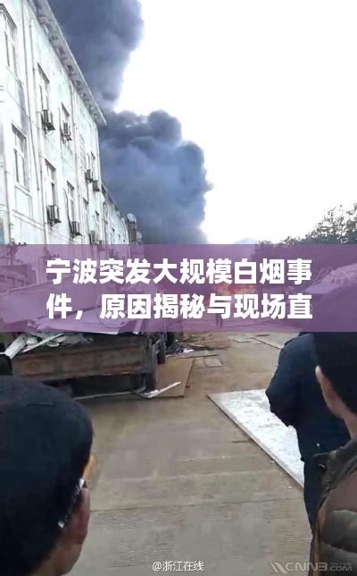 宁波突发大规模白烟事件,原因揭秘与现场直击