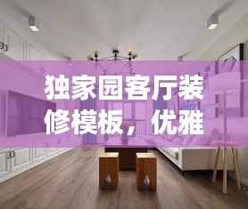 独家园客厅装修模板，优雅舒适生活空间打造指南