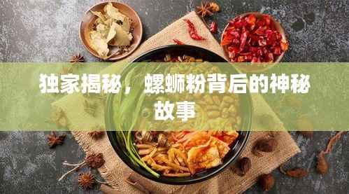 独家揭秘,螺蛳粉背后的神秘故事